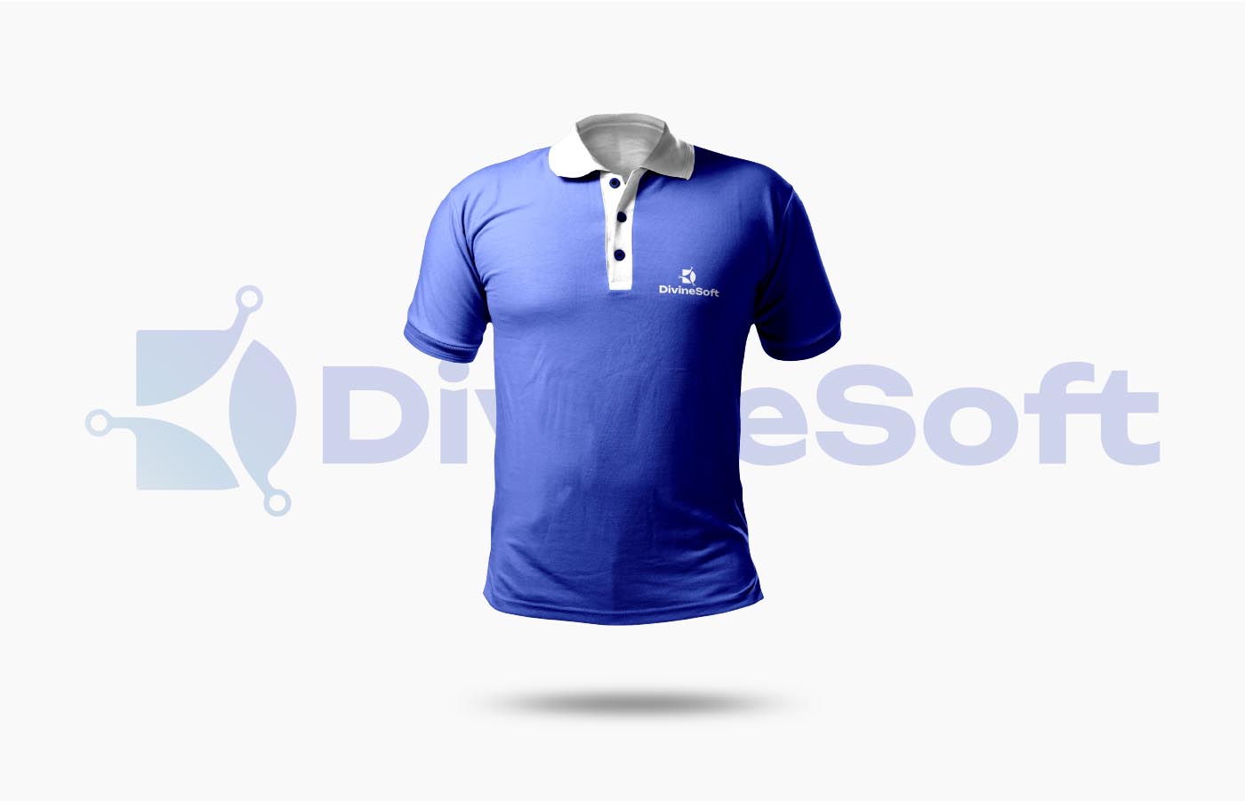 Divinesoft Brand Identity 10